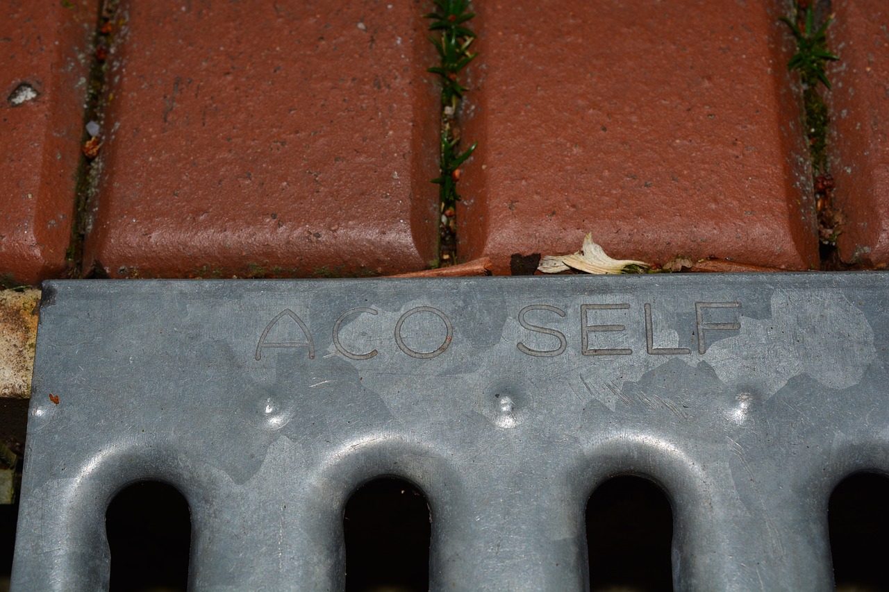 Setting Up a Rainwater Collection System